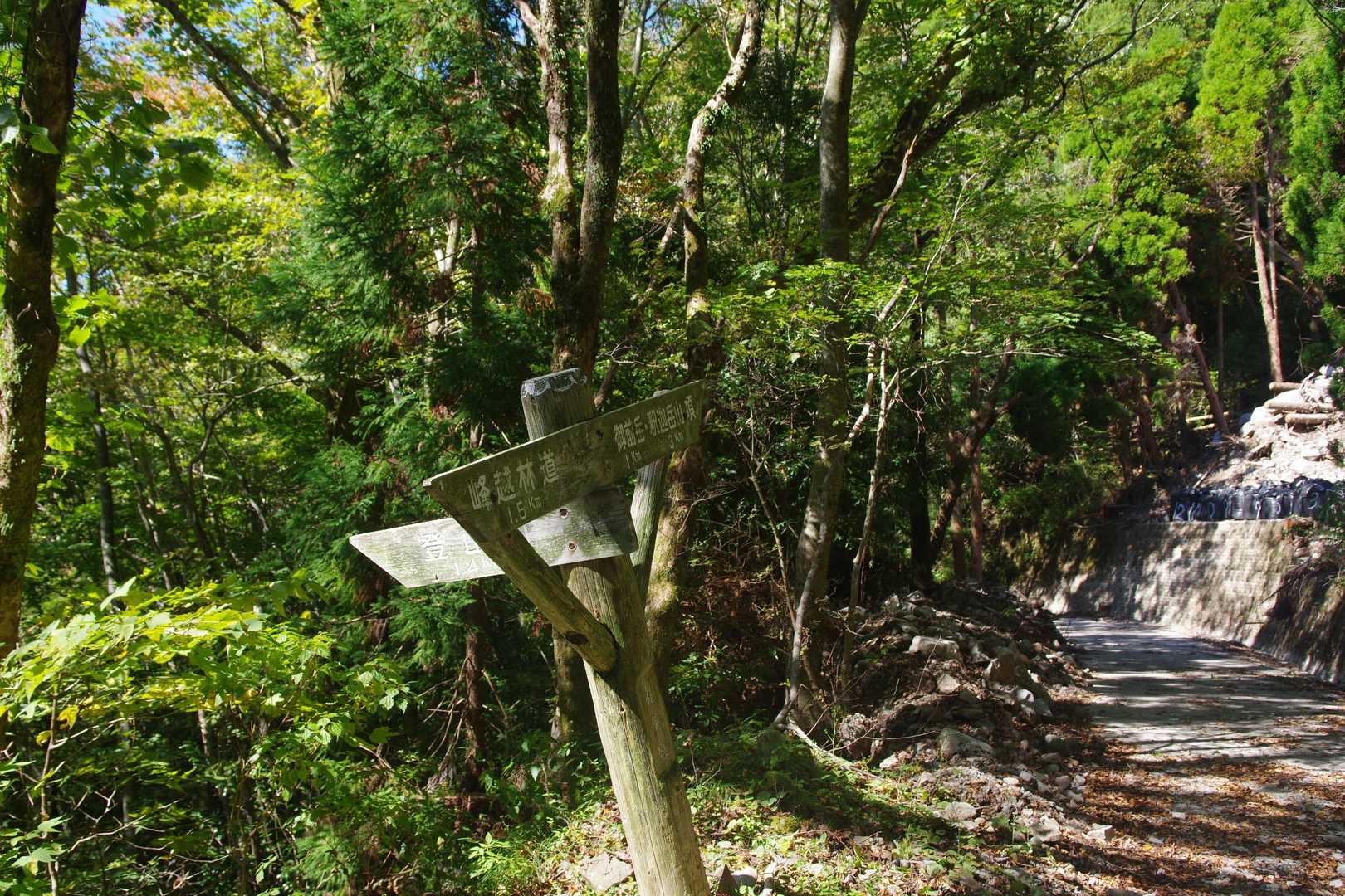 御前岳登山口-御前岳 往復コースの写真