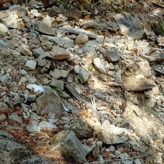 別の崩壊箇所です