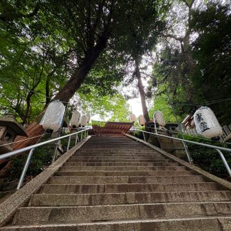 階段登って💦