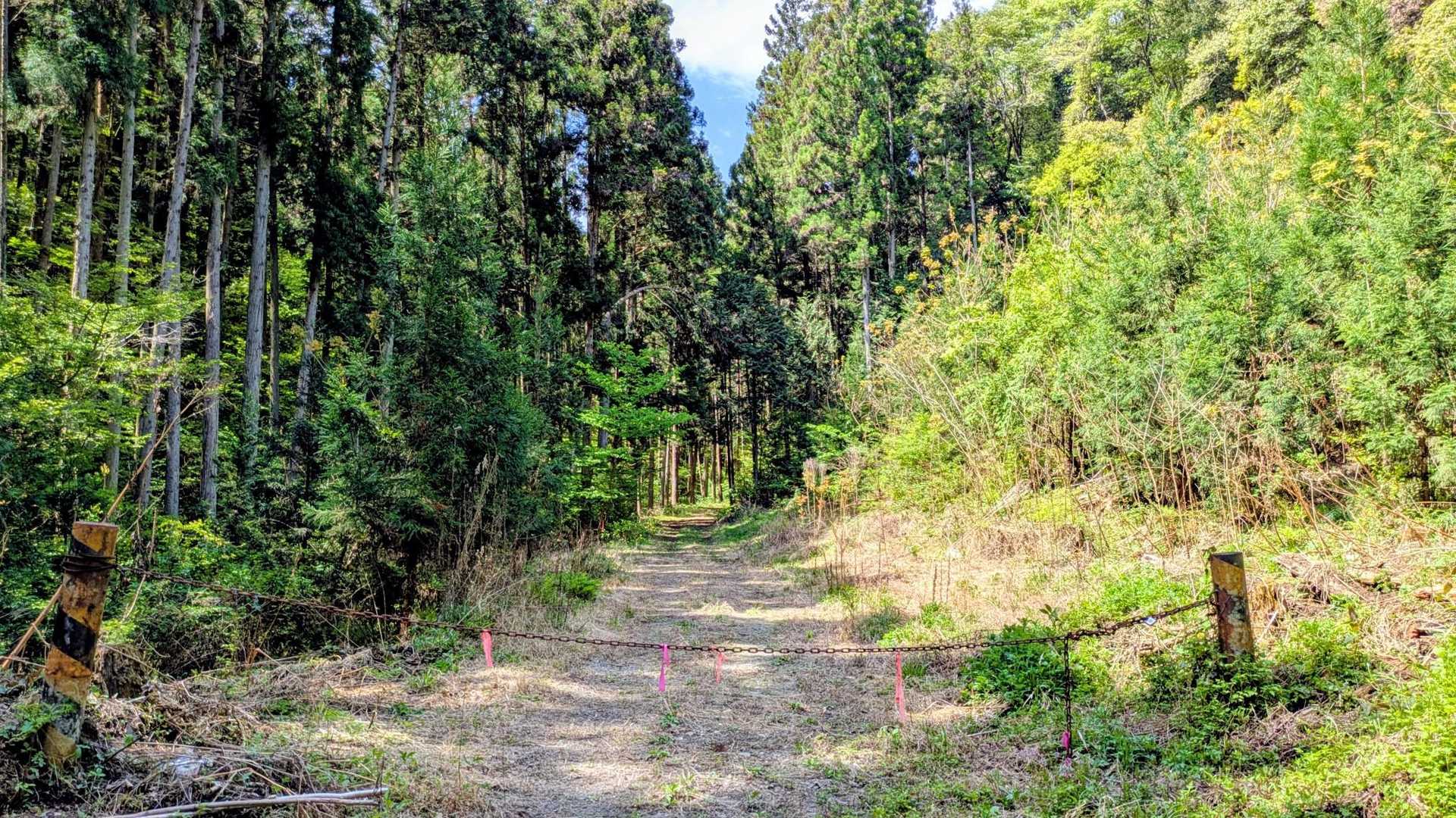 誰にも会わないだろうと思ってスタートしたら　下山してきた方がいてビックリ　ツツジはほぼ散っていた情報を頂いたので　あまり期待しなくて済みました😁