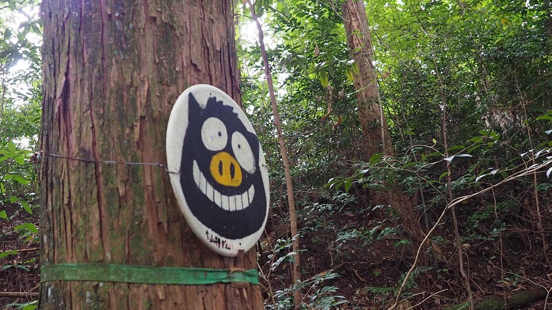 お久しぶりね☺️