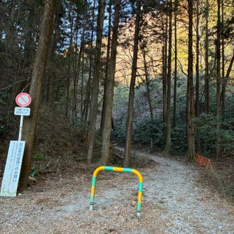 登山口〜まだ林道でした〜