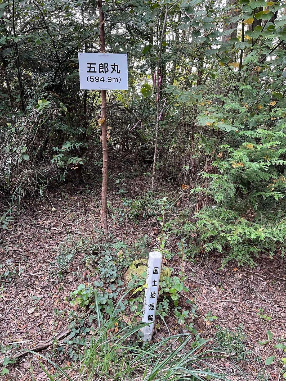 △点