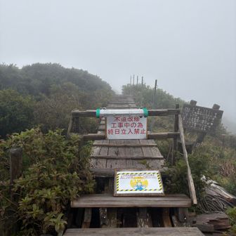 迂回〜