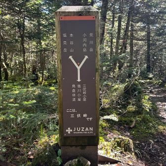 テン場の先の分岐を塩見岳方向へ