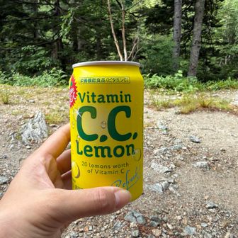 槍沢ロッジ到着🛖
もちろんCCレモン🍋