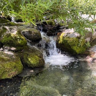 沢水
途中にも川に降りるところがありました。