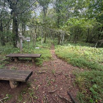 寂地林道登山道との分岐。
帰りは右から下山します。