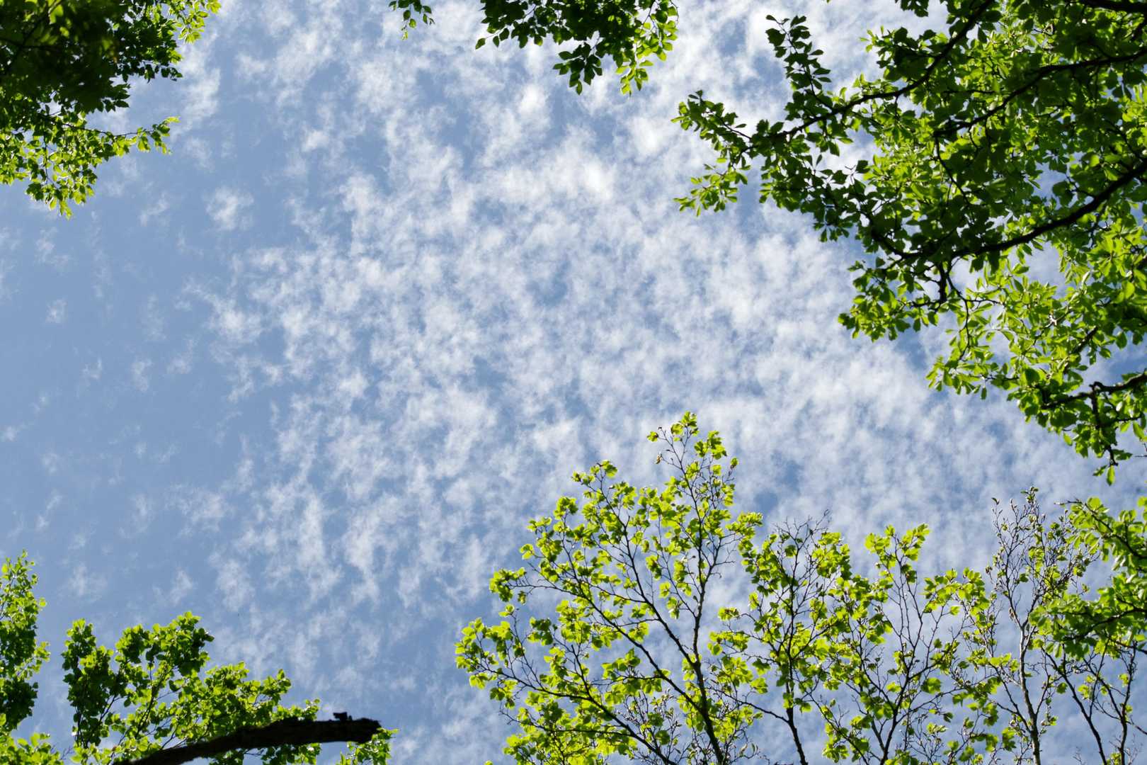 爽やか～✨