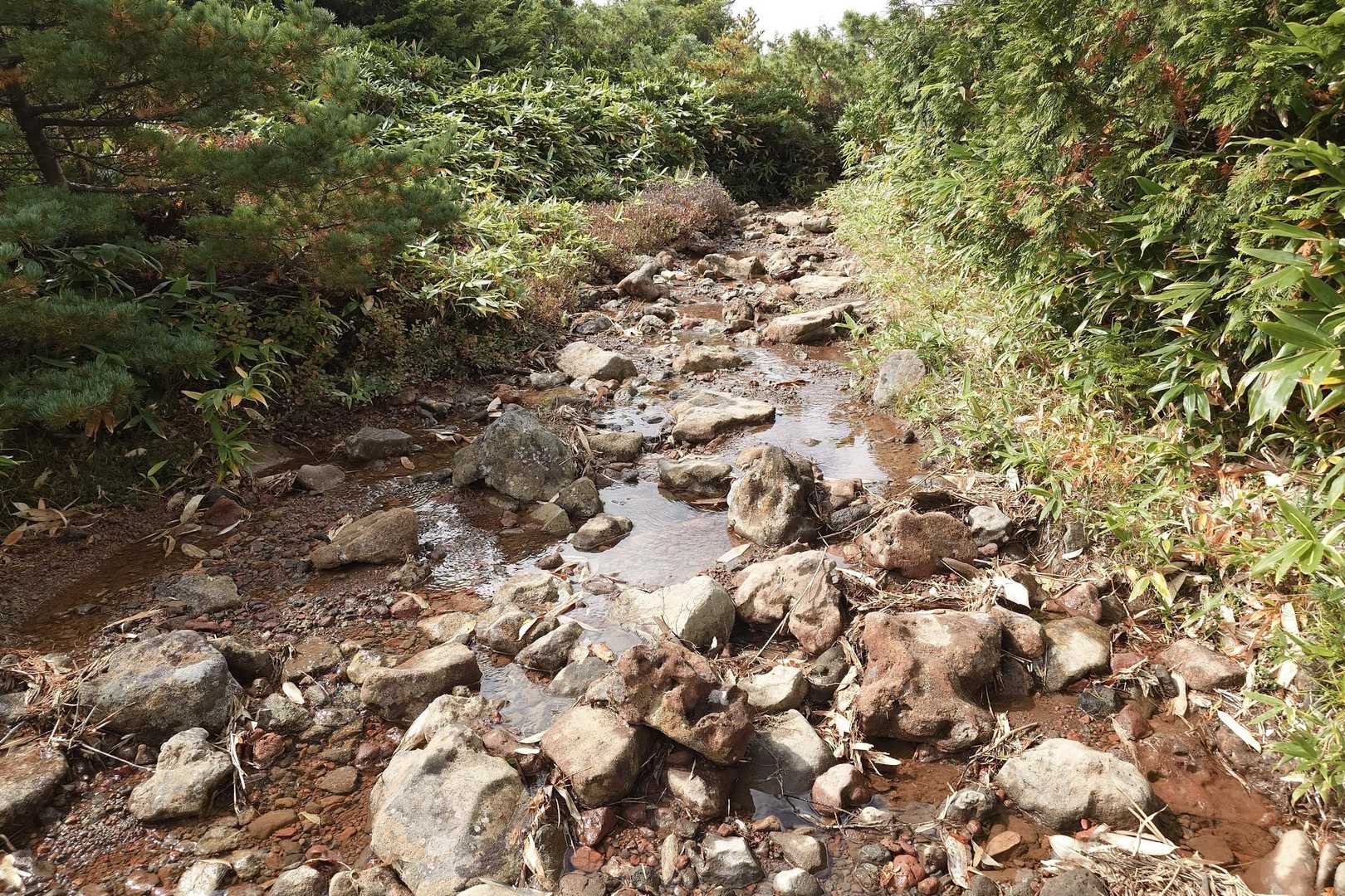 東吾妻山の登山口はご覧の通り
前日の雨で沢（笑）