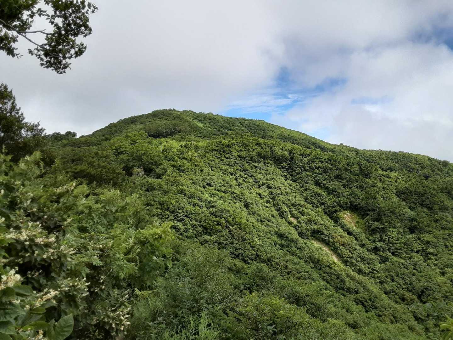 昨日は📸撮り忘れた地蔵岳の山頂。
地蔵岳からゴールまでの下りが、かなり急斜面なので、今までで、1番、下山が苦しいと、感じました😂
これも、、、経験😺なんだぜ〜