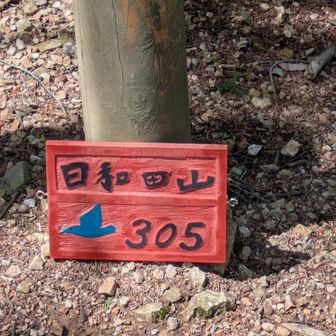 山頂にて。
カワセミは日高市の鳥