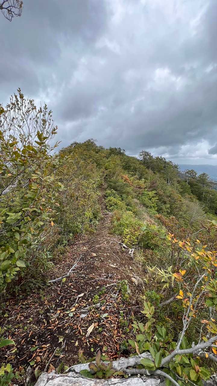 信越トレイル#3（sec.4／仏ヶ峰登山口〜鍋倉山・黒倉山〜関田峠） の写真 22
