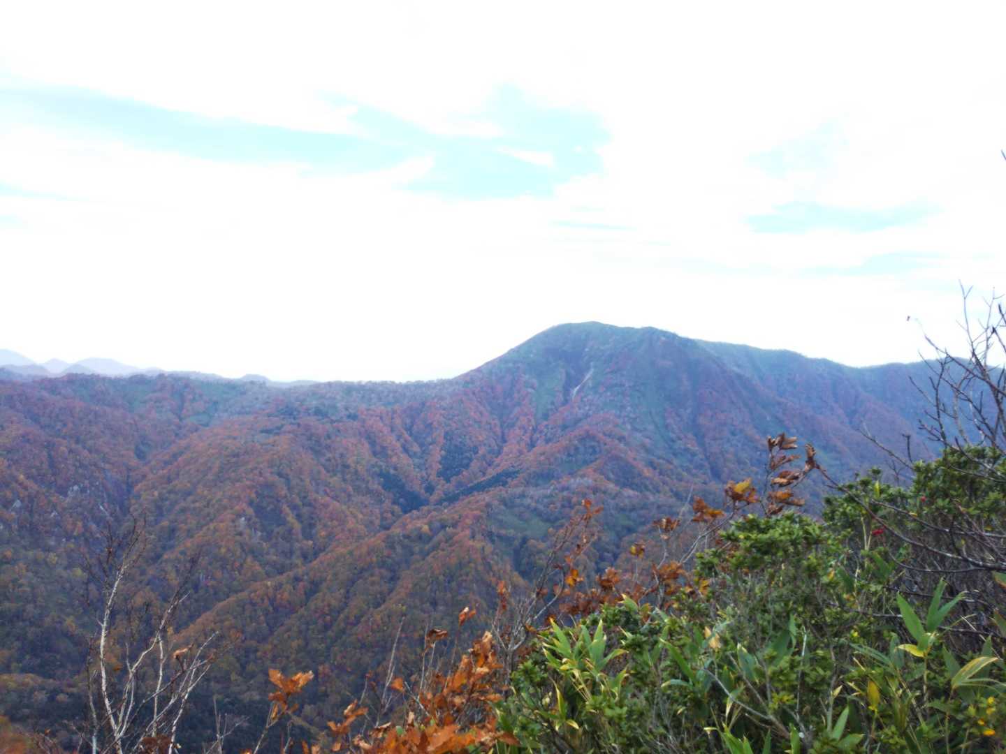 道南の紅葉、今年はドンナンでしょう🍁(座布団１枚持ってって～😁)