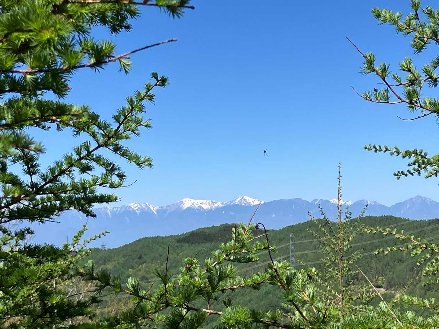 振り返ると南アルプスの山々✨