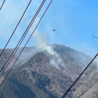 自衛隊機が水を落とす瞬間
だけど…大きな山にペットボトルで水をかけているようにしか見れない😭