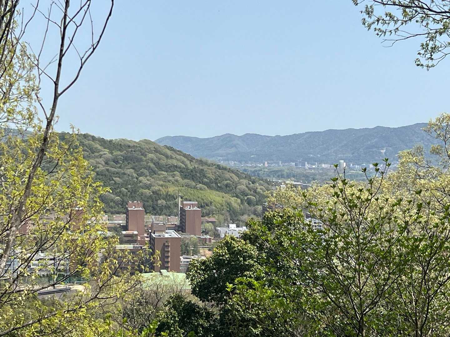 木が邪魔してます。見えるのは広島大学かな