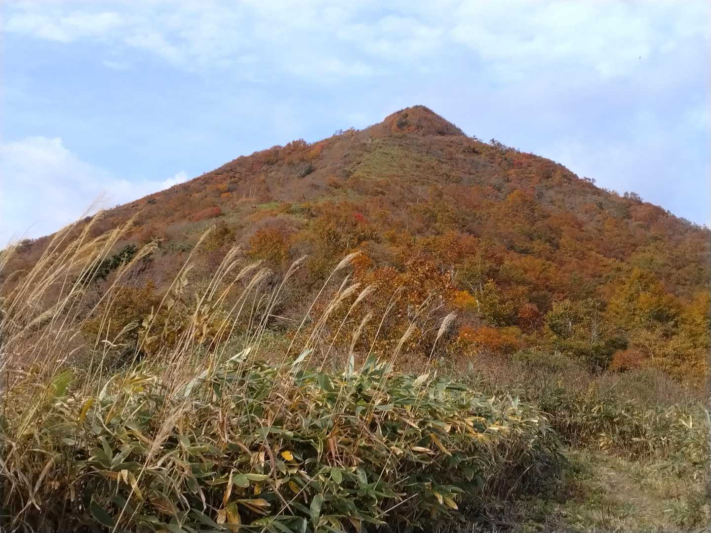 振り返ってトンガリ山