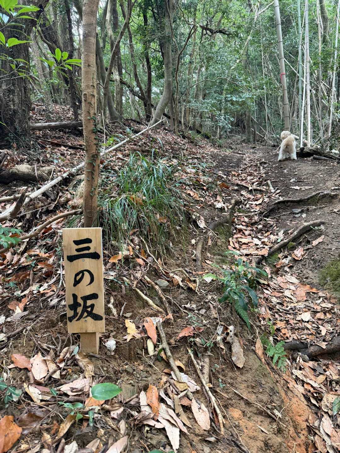 三の坂までしかなかった