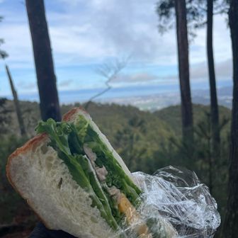 誰もいない山頂で静かにランチ🥪