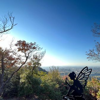 イナバ山より🧚