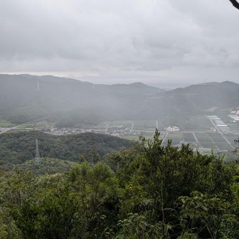 予報より早く雨が降ってきた⛈️