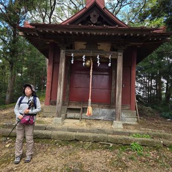神社の脇から太平山山頂への山道があり、約20分程で山頂の富士浅間寺社。この裏側が山頂となります。
