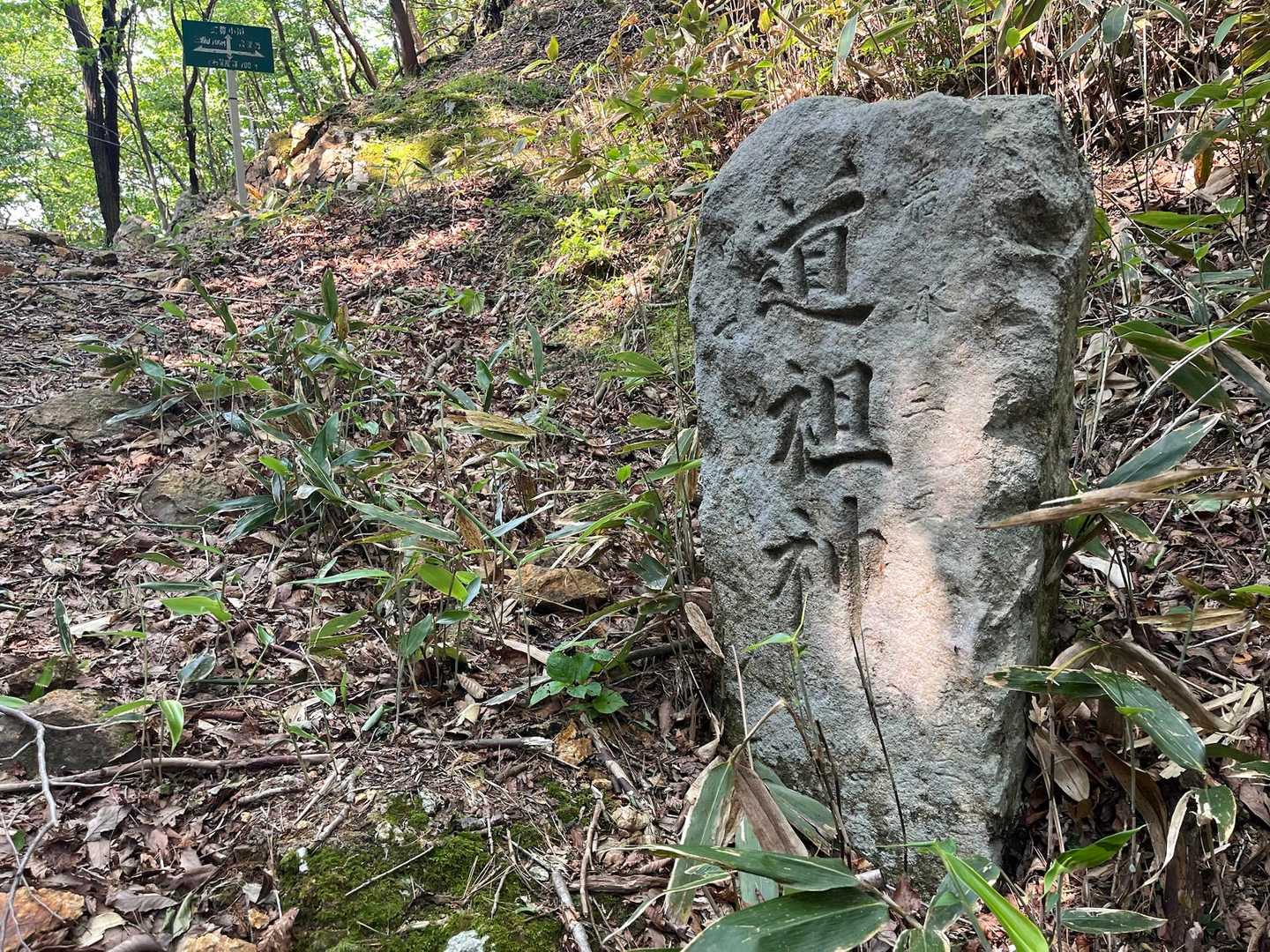 道祖神
嘉永3年と年号が掘られてました。
西暦1850年で江戸時代末期ですね。
主要道路だったんですねー