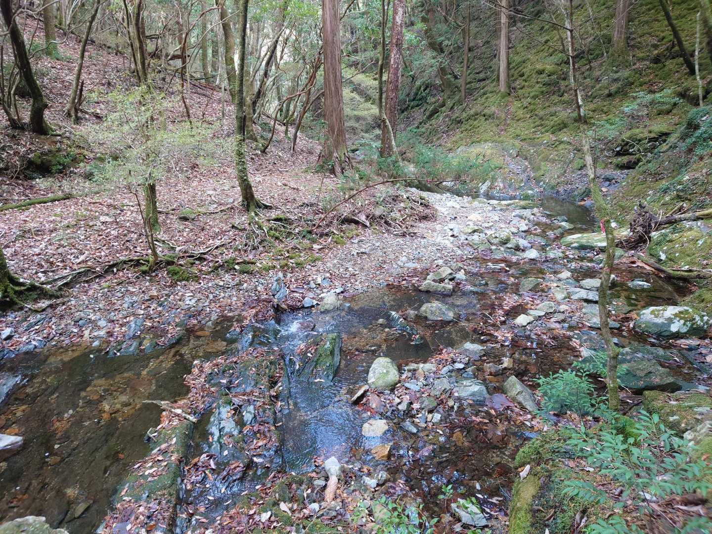 行縢山登山口-行縢山-雌岳 周回コースの写真