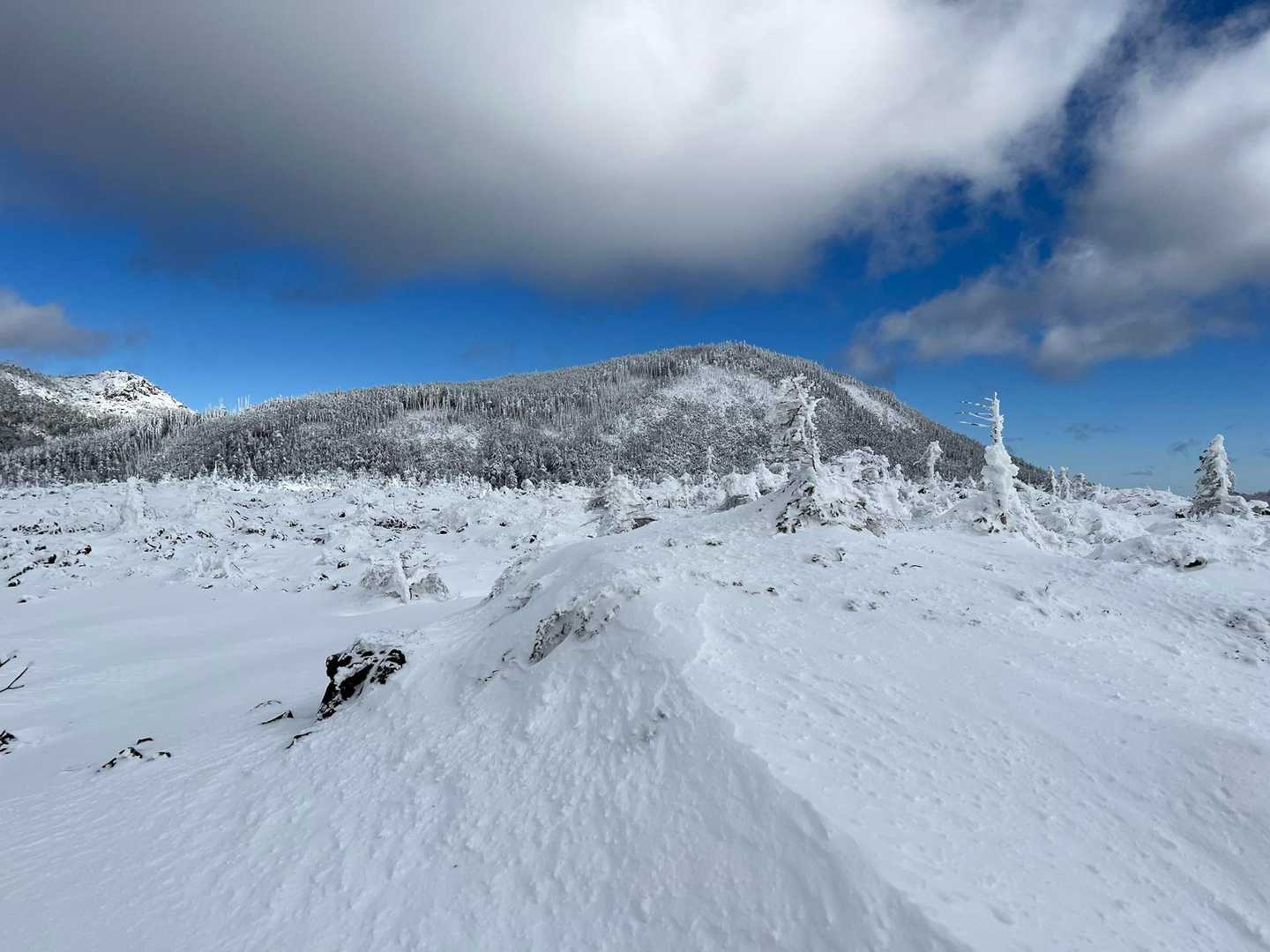 晴れてきた？？
分岐で縞枯山方面へ進みます。