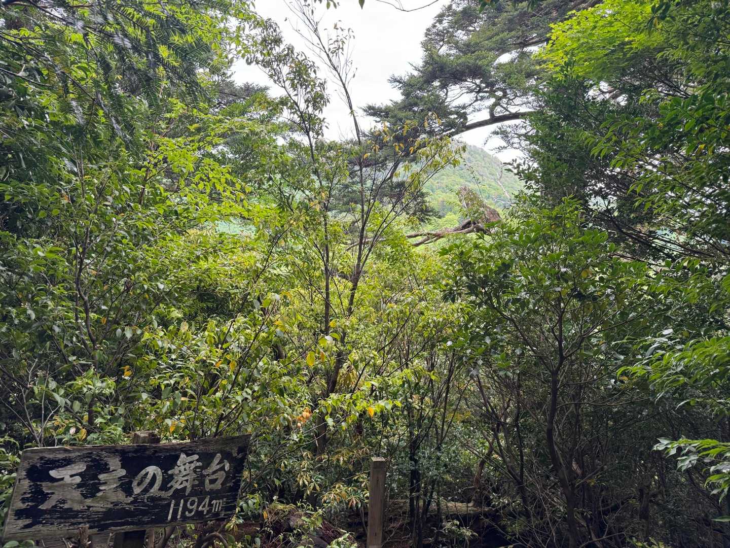 天主の舞台から天主山⛰️