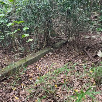 砲台山　コンクリート構造物の跡