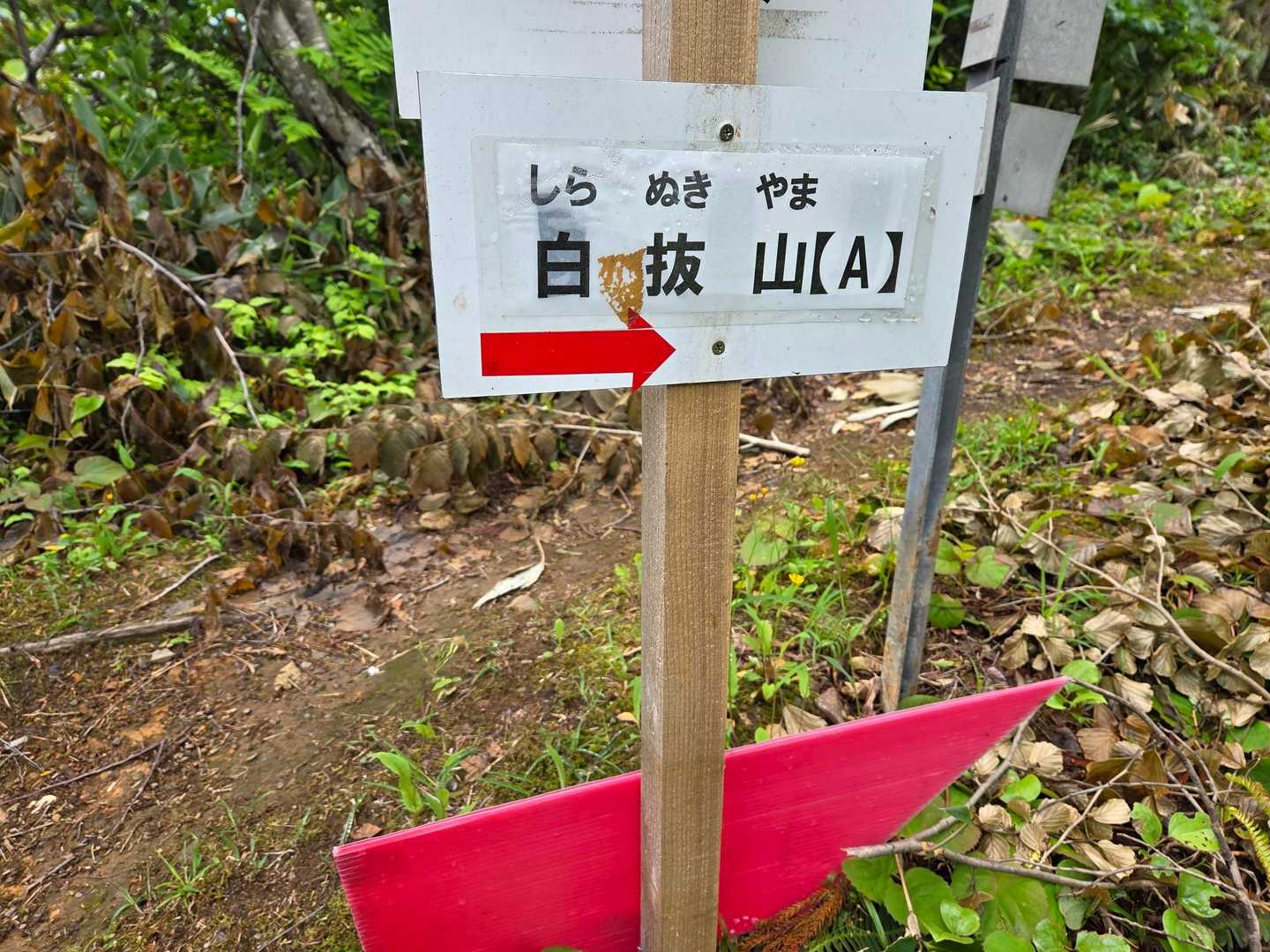 さっきはB、今度はA？