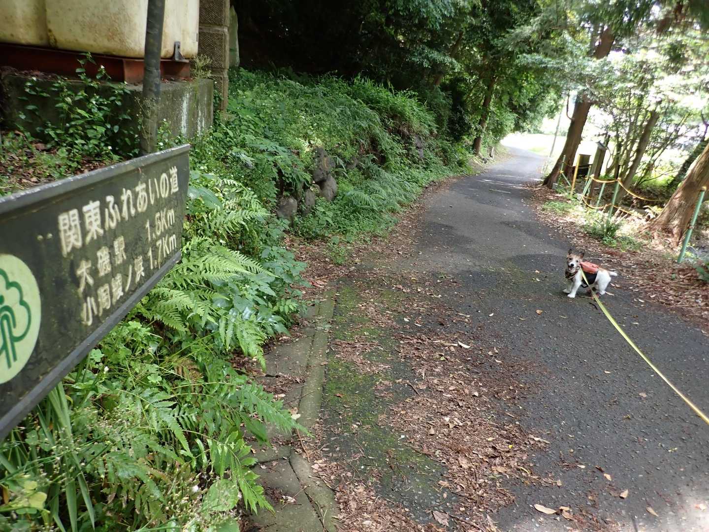 大磯駅-高麗山公園入り口-湘南平 周回コースの写真