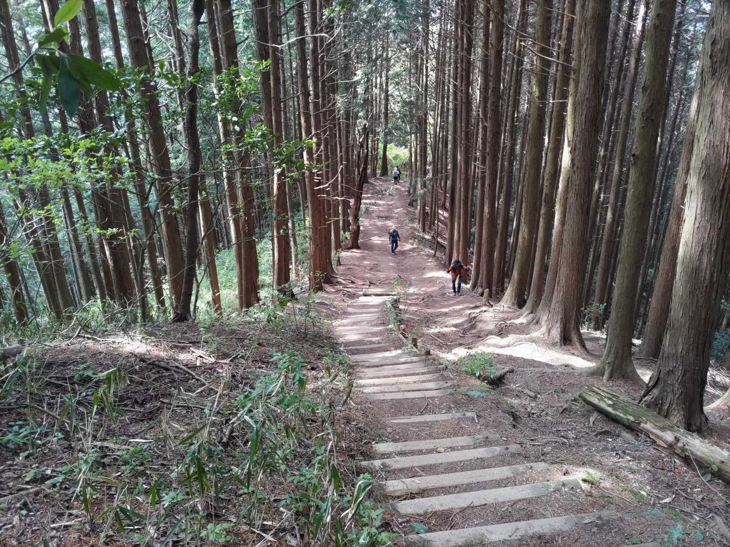 階段はあるけど、段差が優しい😆