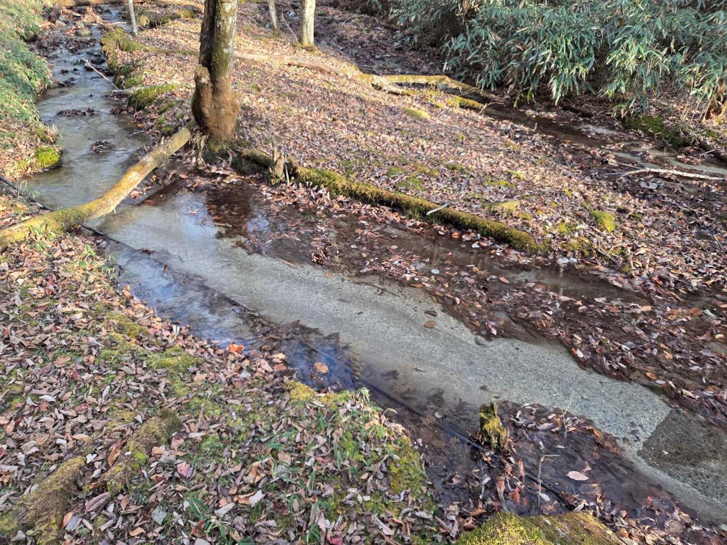 沢の水がとても綺麗。
なぜ「和名倉山」の別名が「白石山」って呼ばれる意味が分かった気がします。
沢に白い小石が多いんですよね✨