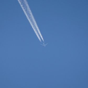 今日は飛行機が頻繁に飛んでた✈️