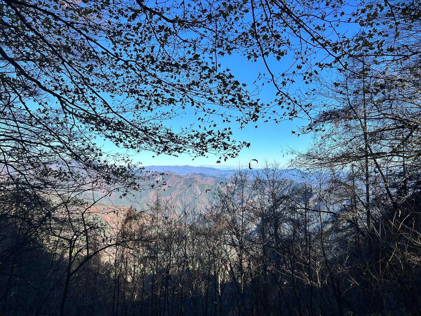 そして景色が素晴らしい👍