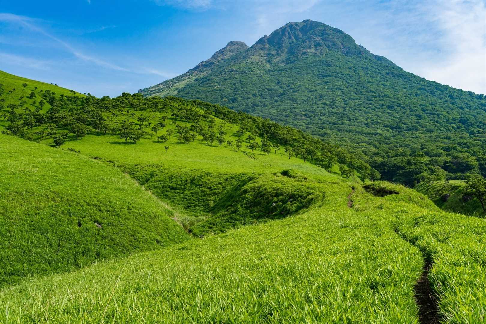 由布岳の写真