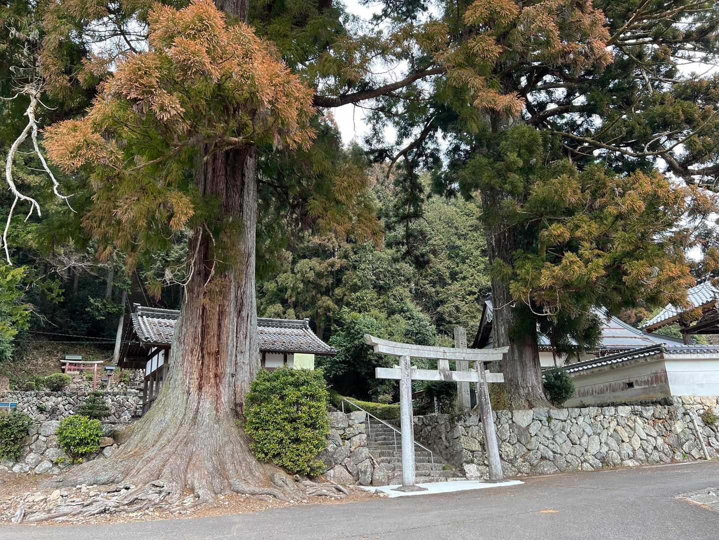 お祭りも終わって、改めてお参り