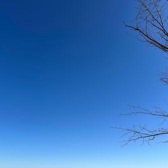 冬の青空は大好きです❤️