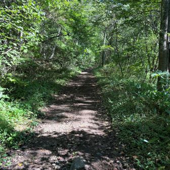 最初は1キロぐらい、なだらかな道