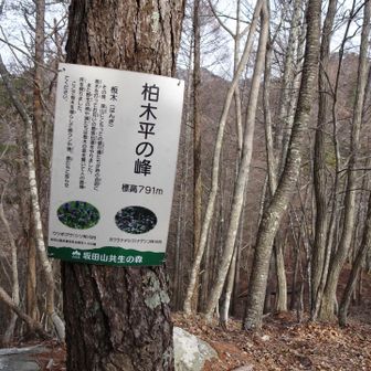 YAMAPの地図では大谷山