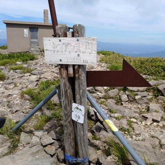 山頂に着きました、1308ｍ