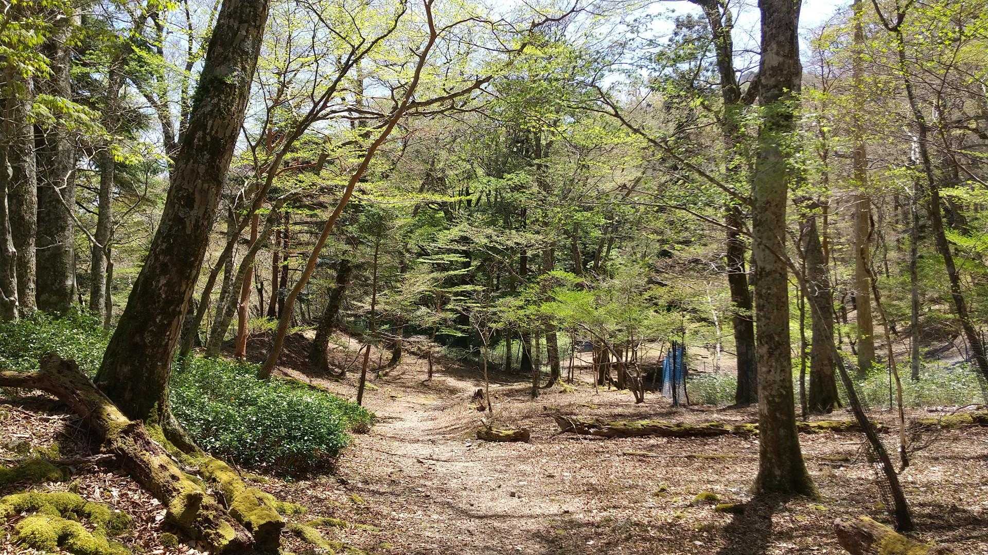 最高に贅沢な時間✨✨✨