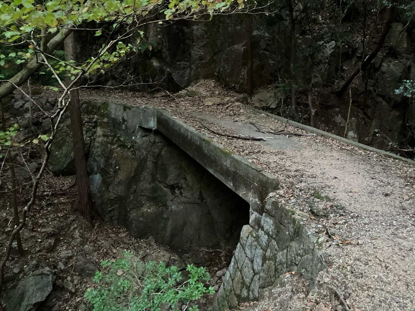 仙ヶ岳 往復コースの写真