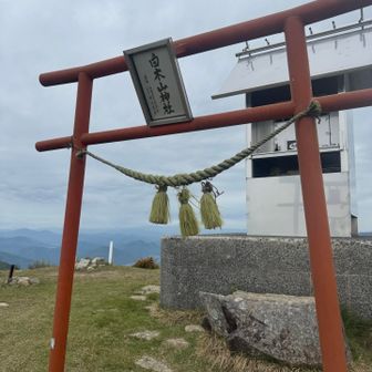 山頂⛩️