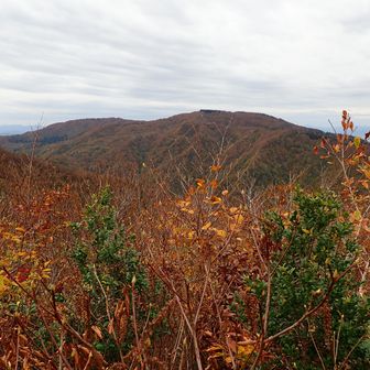 御岳山か黒森山
