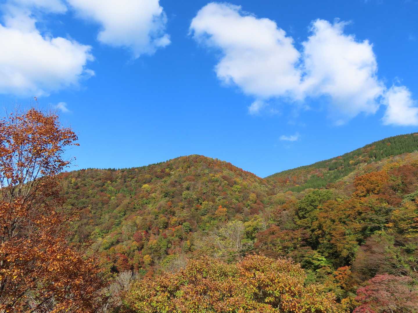 錦のお山　青空に白い雲ポッカリ