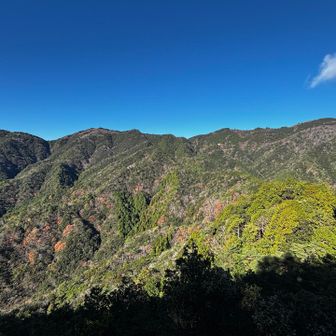 この稜線を歩くんやね☺️